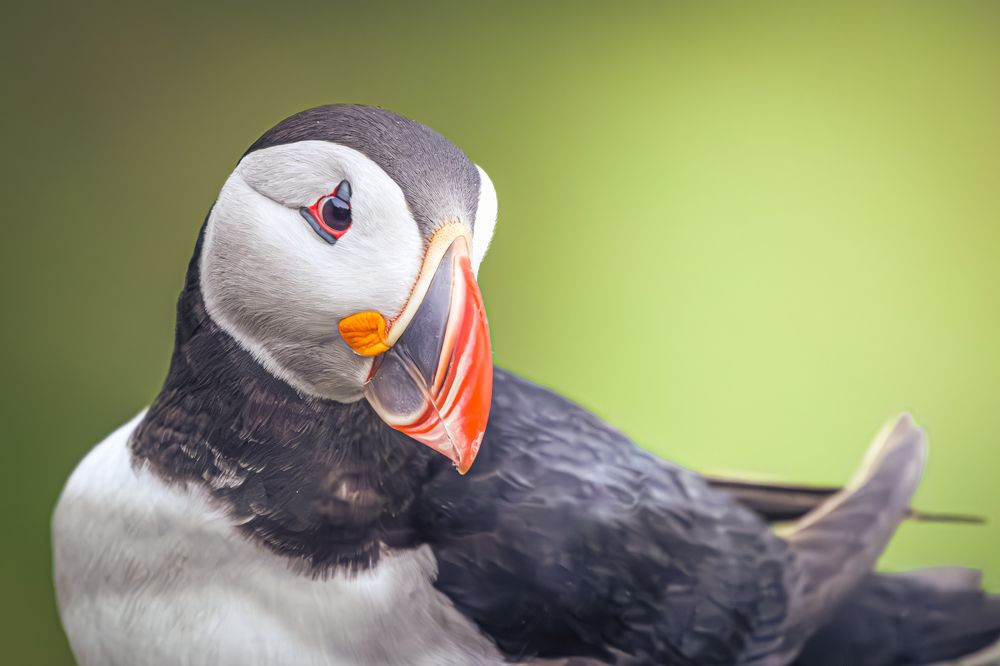 Photograph by Tommy Olsen