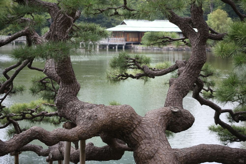 Photograph by Елена Хорошильцева