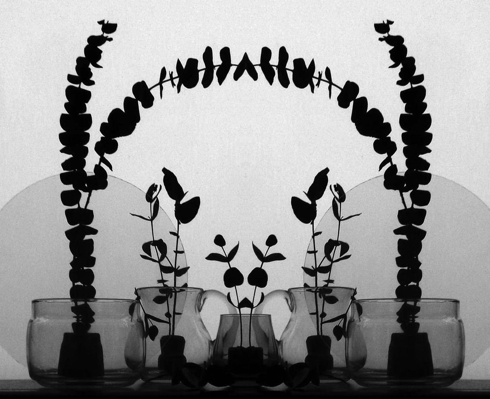 Photograph by 