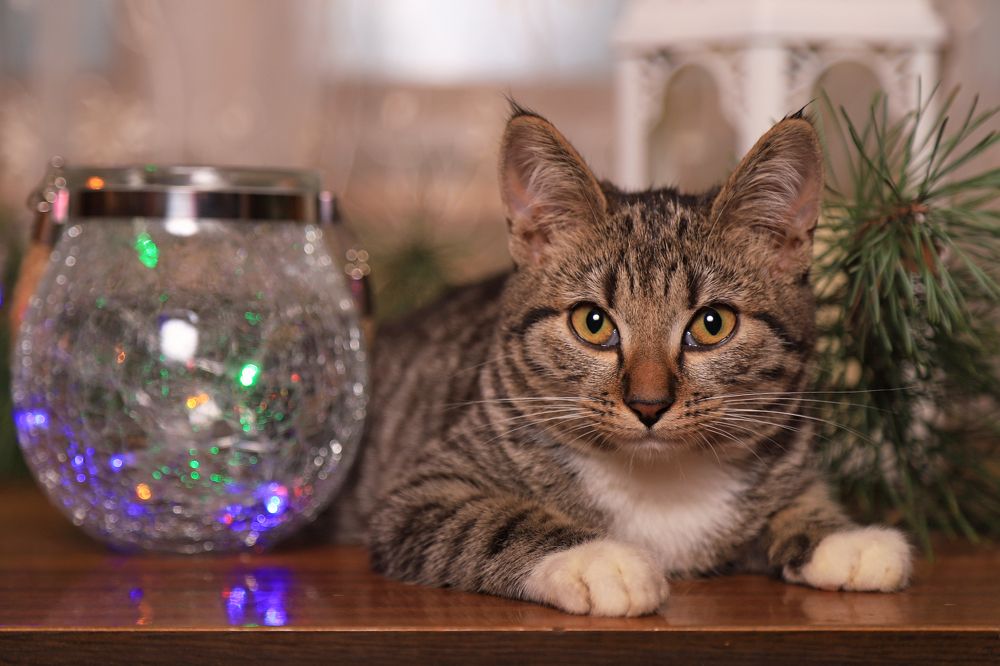 Photograph by Анастасия Рысь