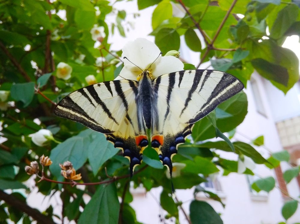 Photograph by Лариса Кузнецова