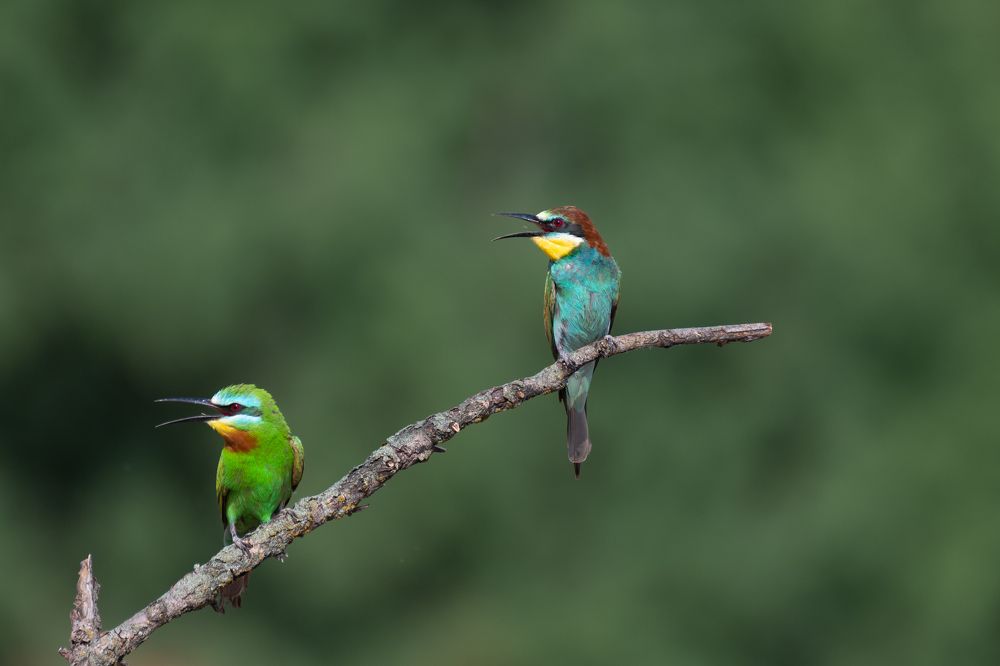 Фотография автора Денис Гаврицков