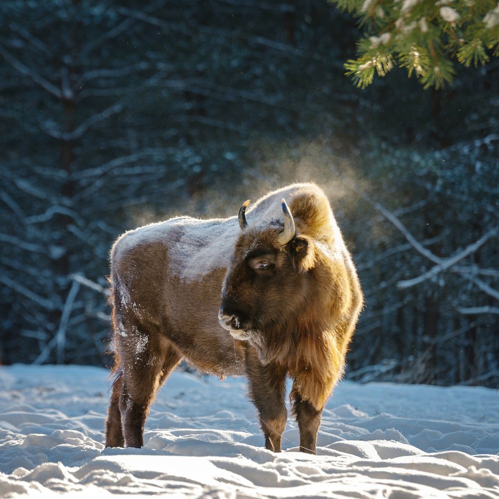 Photograph by Низовцева Елена