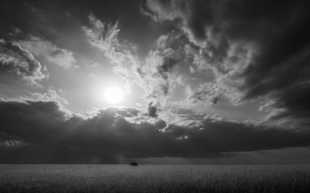 Photograph by Jayakumar MN