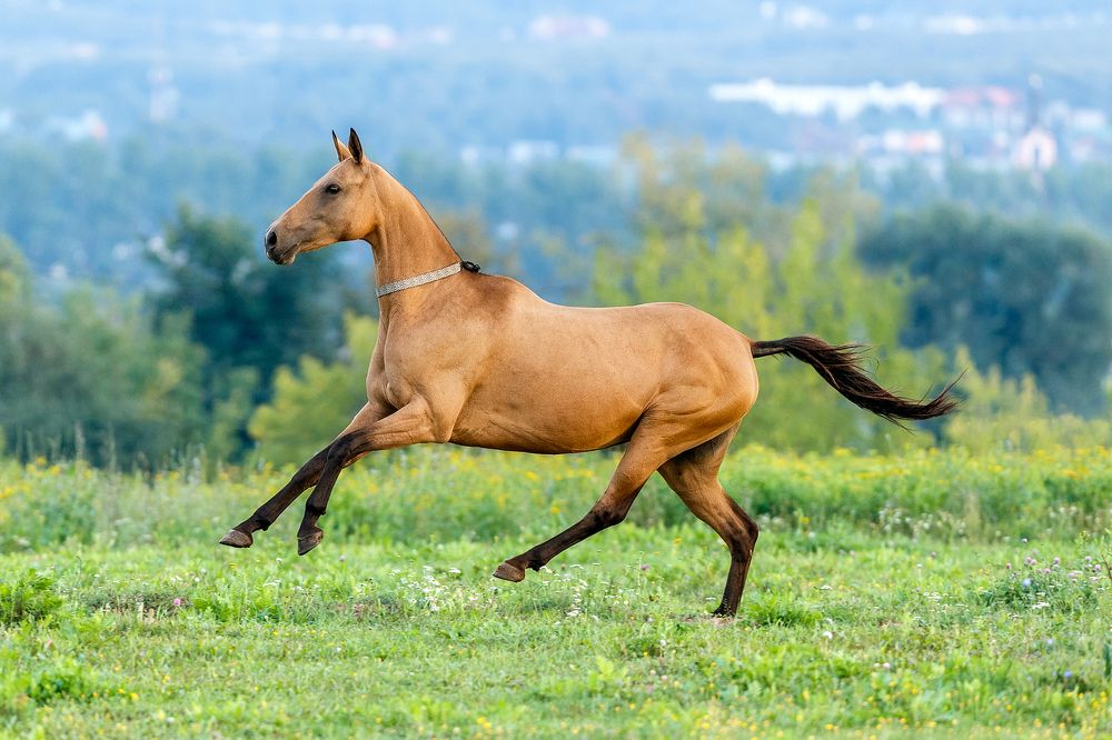 Photograph by Alexia Khruscheva