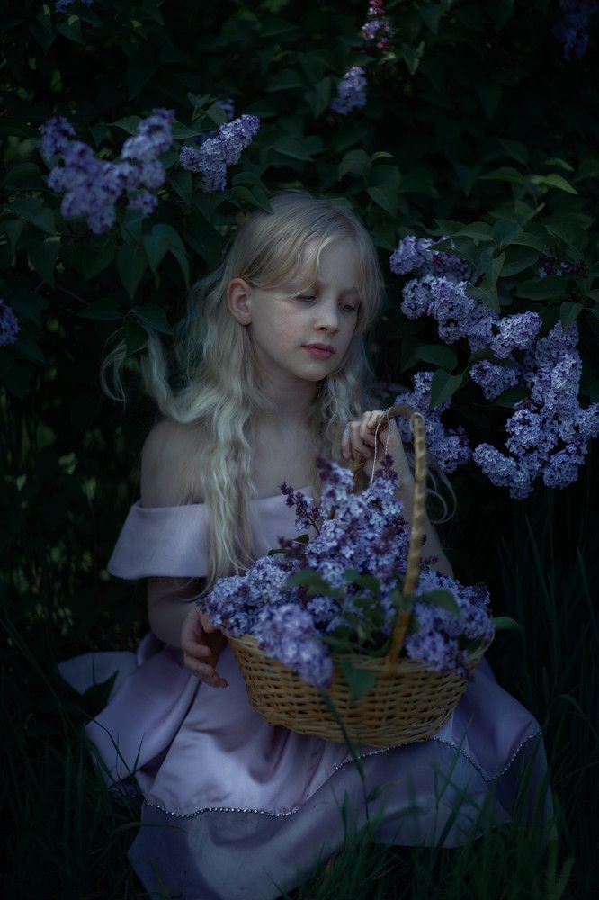 Сирень барокко