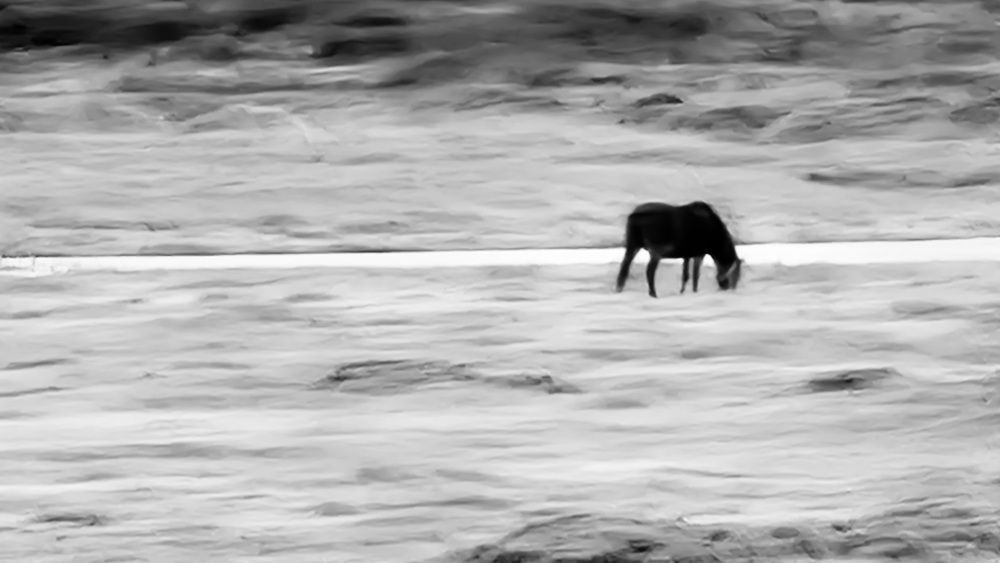 Фотография автора mahyar sj