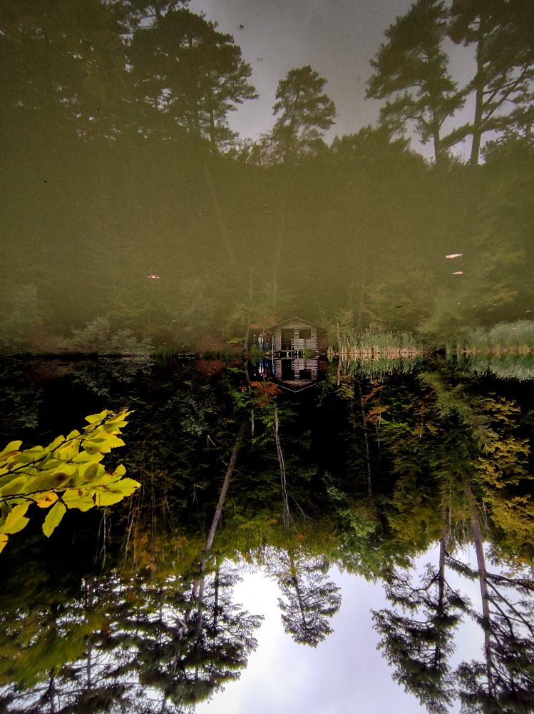 Photograph by Светлана Рей