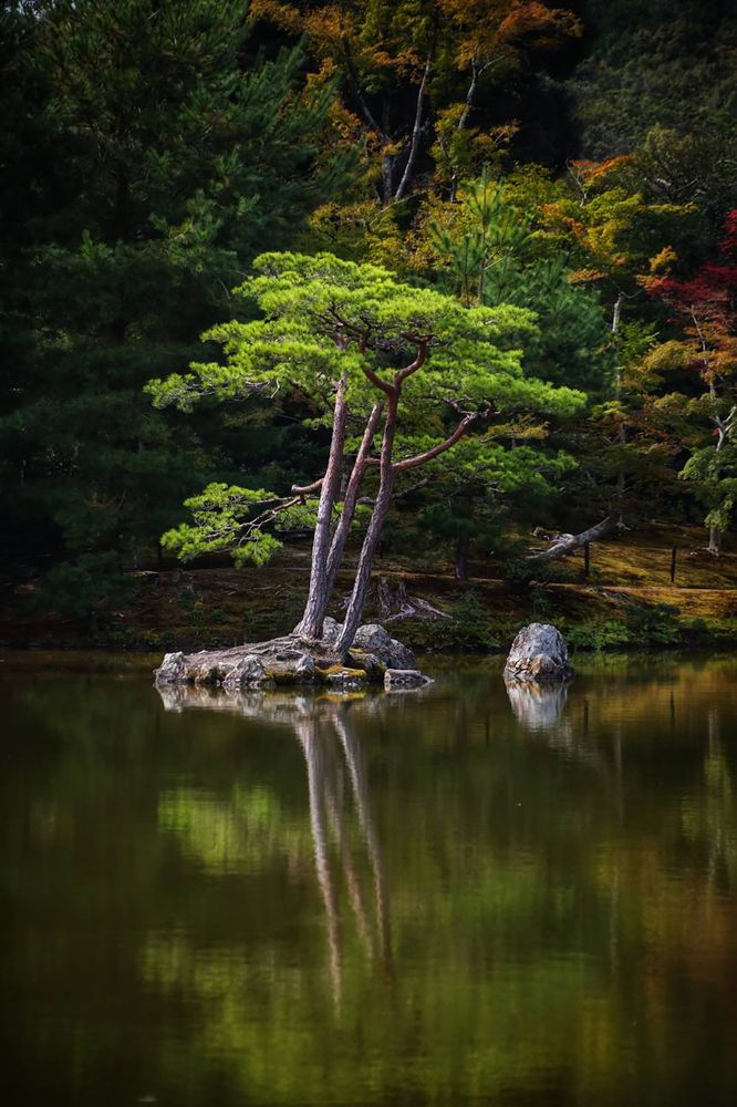 Photograph by Елена Хорошильцева