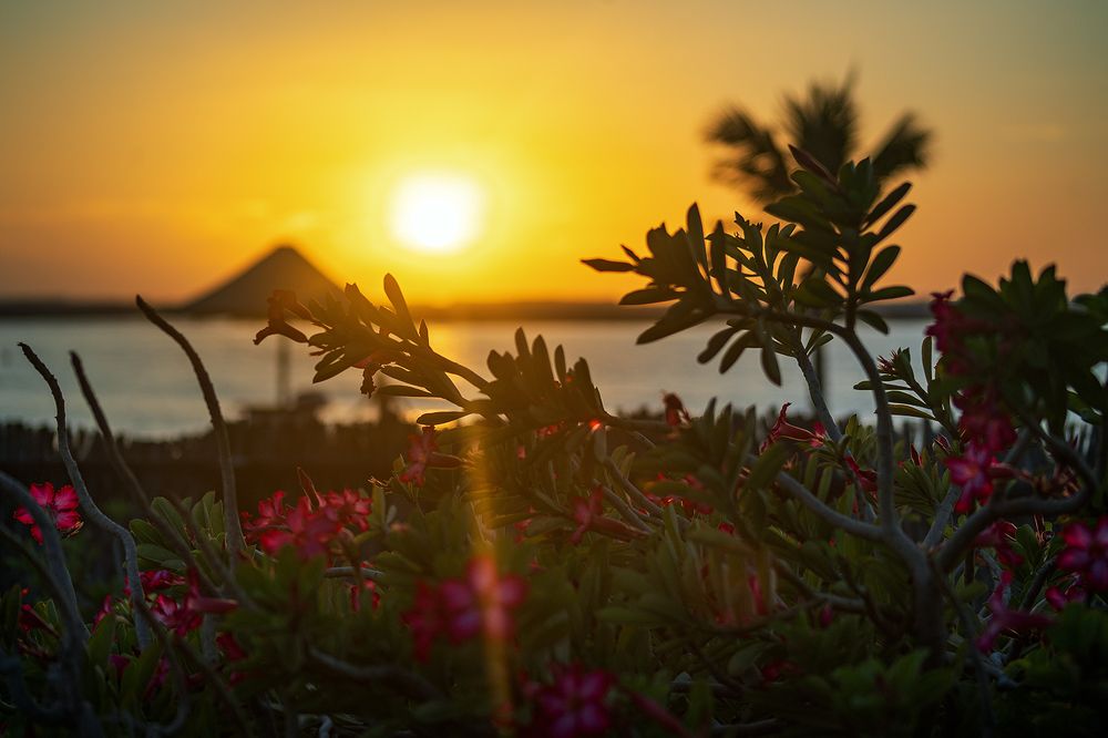 The day is getting over