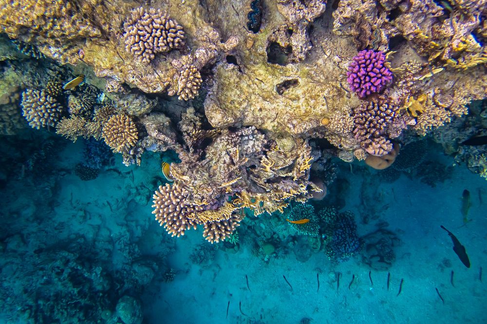 Photograph by Межин Сергей