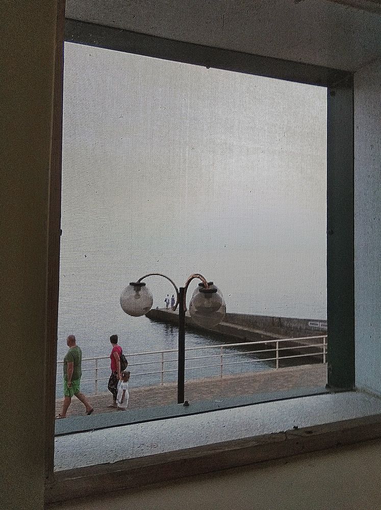 Photo #10418454