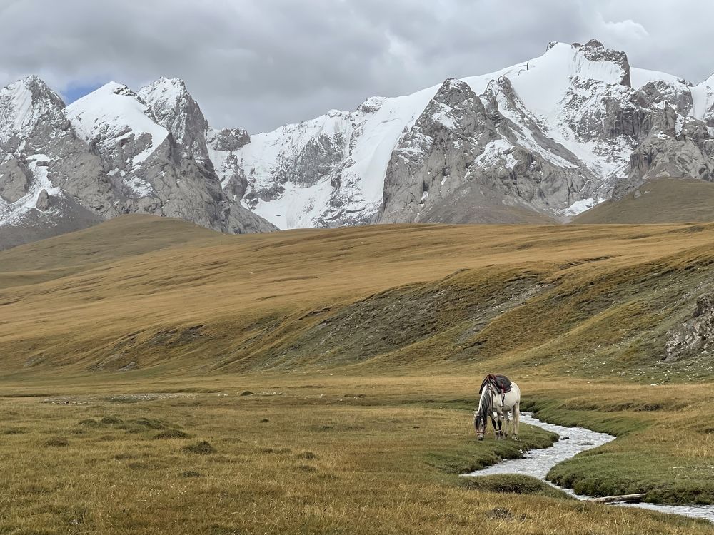 Photograph by Inna Shevchenko