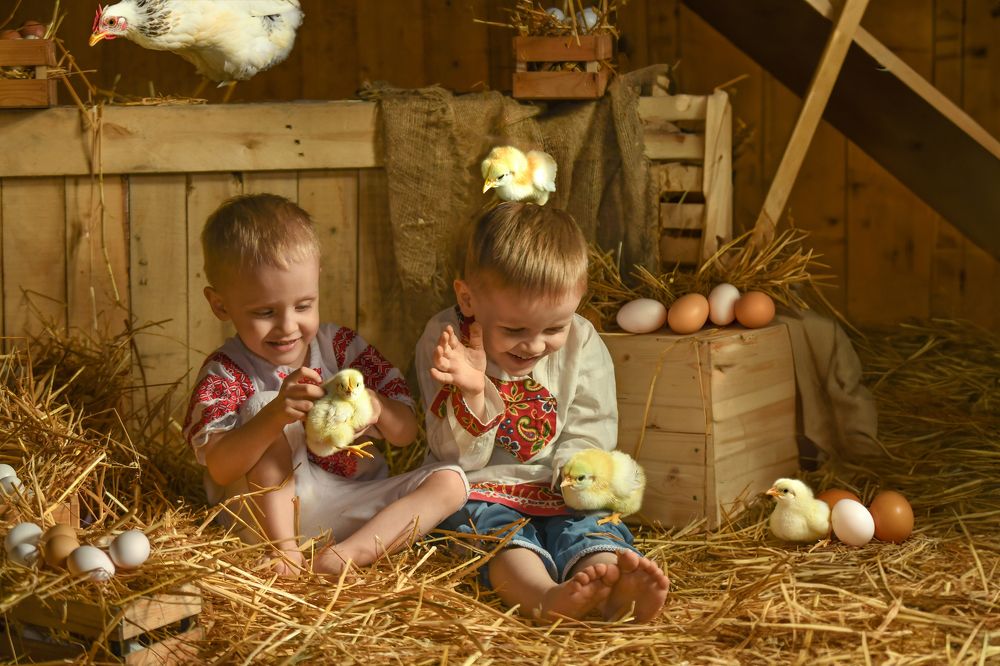 Photograph by Елизавета Аверина