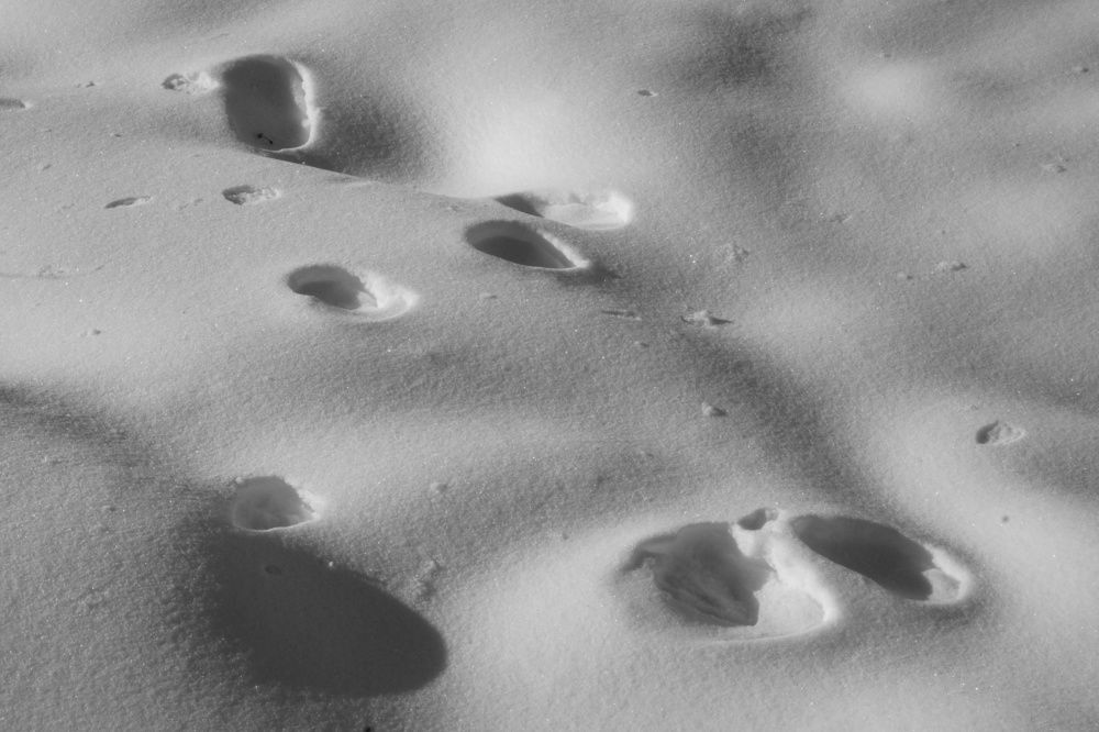 Photograph by Динара