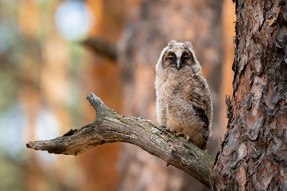 Photograph by Сергей Лебедев