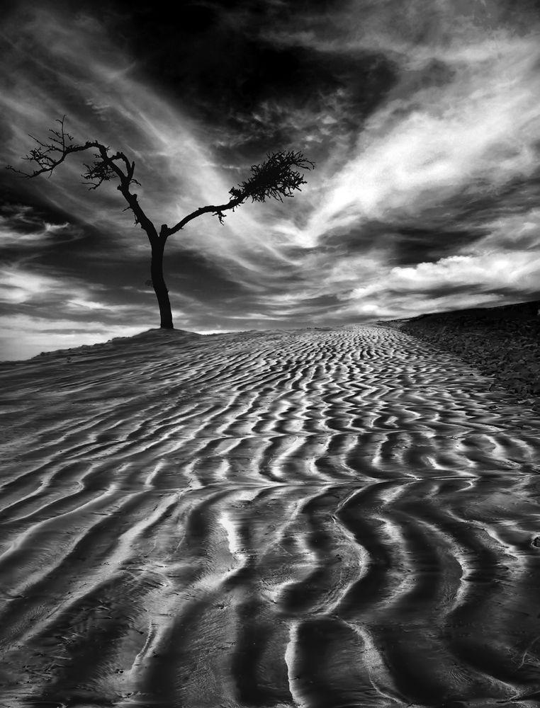 Photograph by Kishore Jothady