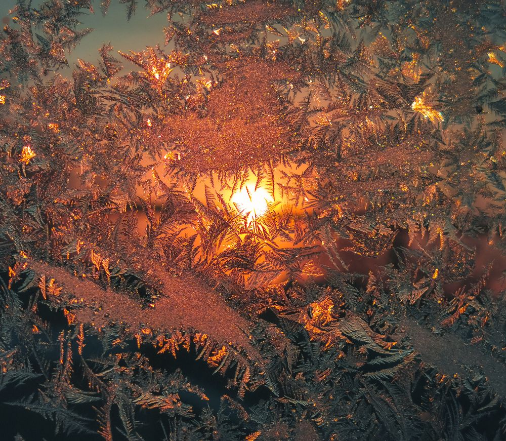 Фотография автора Константин Григорьев