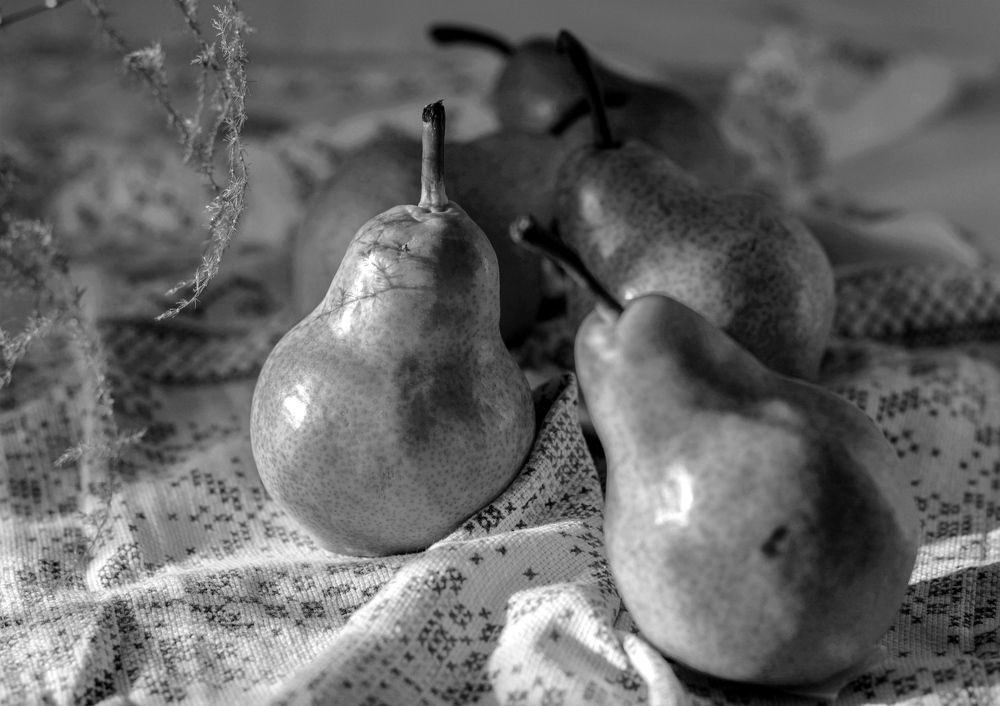 Photograph by Елена Кузнецова