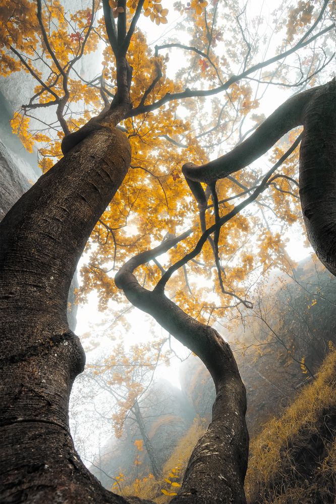 Фотография автора Peter Dužek