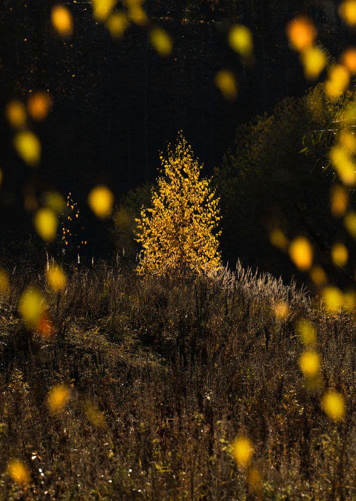 Photograph by Павел Шемякин