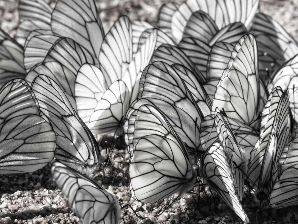 Photograph by Марина Савченко