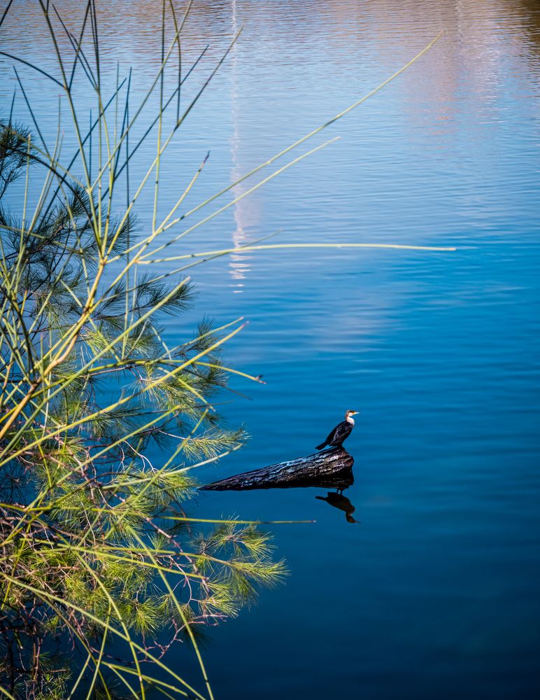 Photograph by Dimitrios Papadopoulos