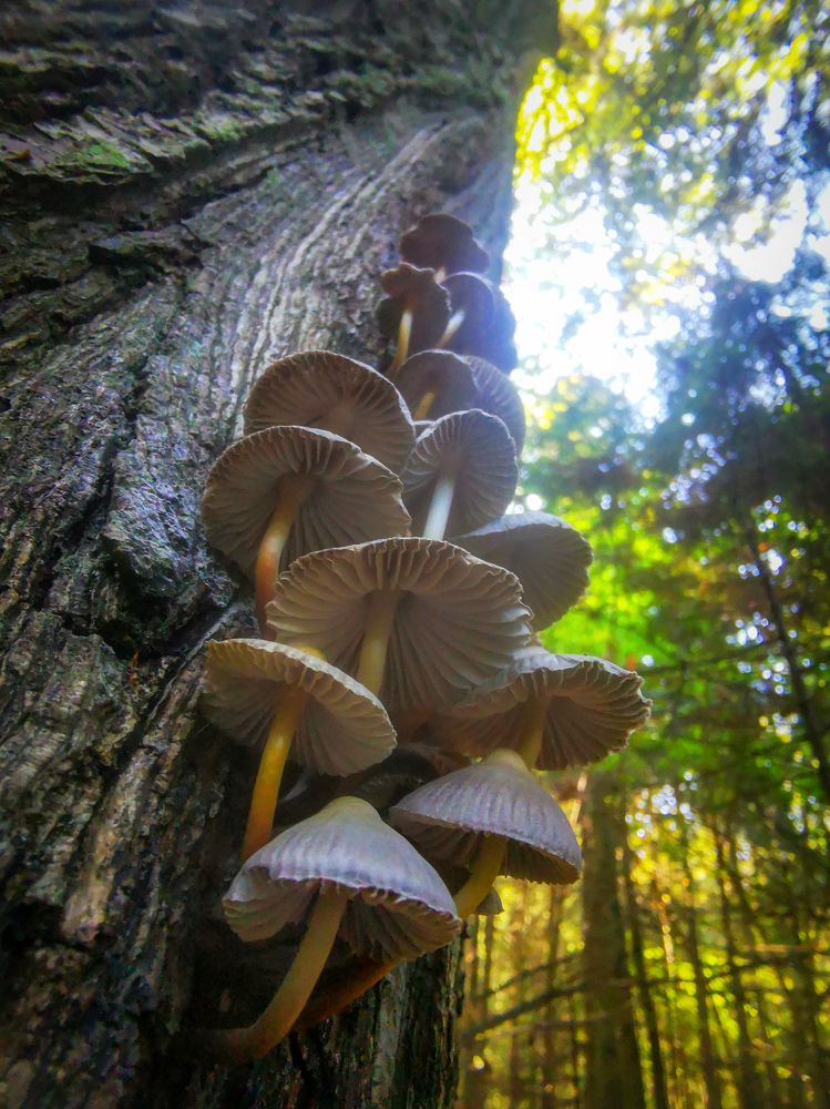 Фотография автора Mashin Rostislav