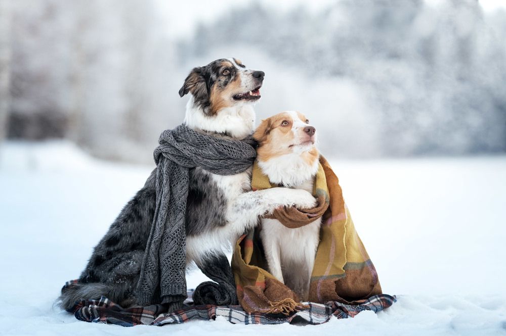 Фотография автора Мороз Ирина