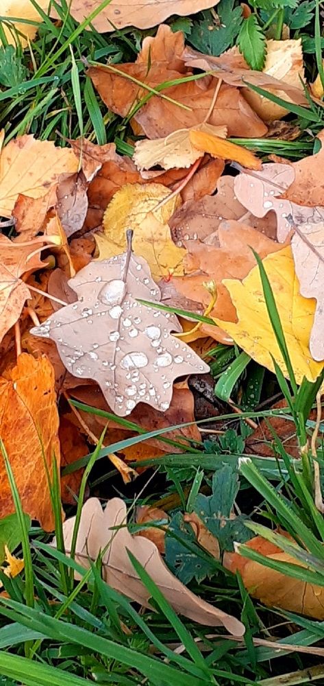 Photograph by Евгения Ульянова