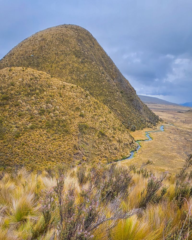 Altiplano Ecuador