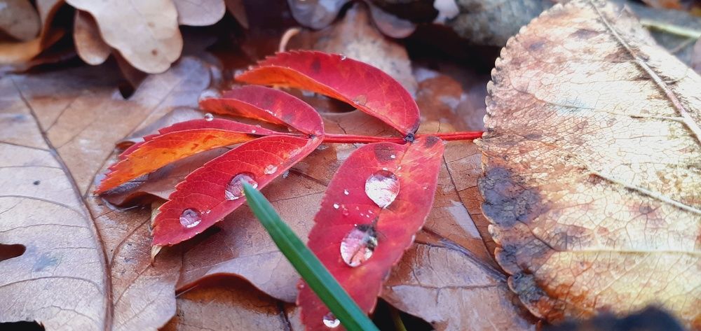 Photograph by Евгения Ульянова