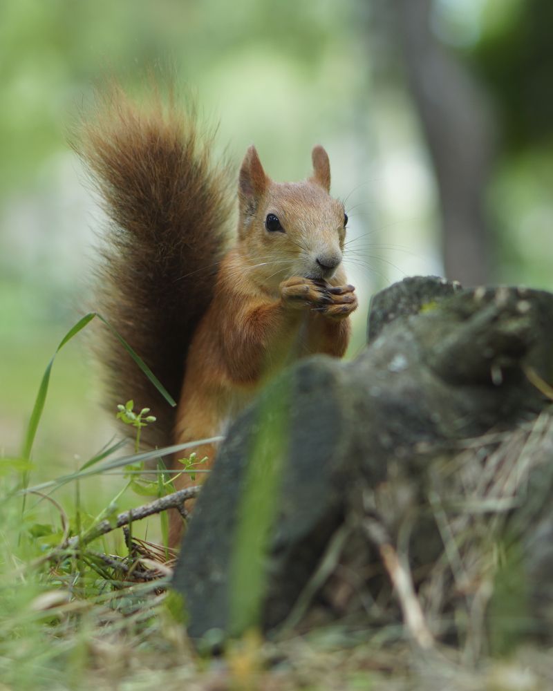 Фотография автора Сергей Затямин
