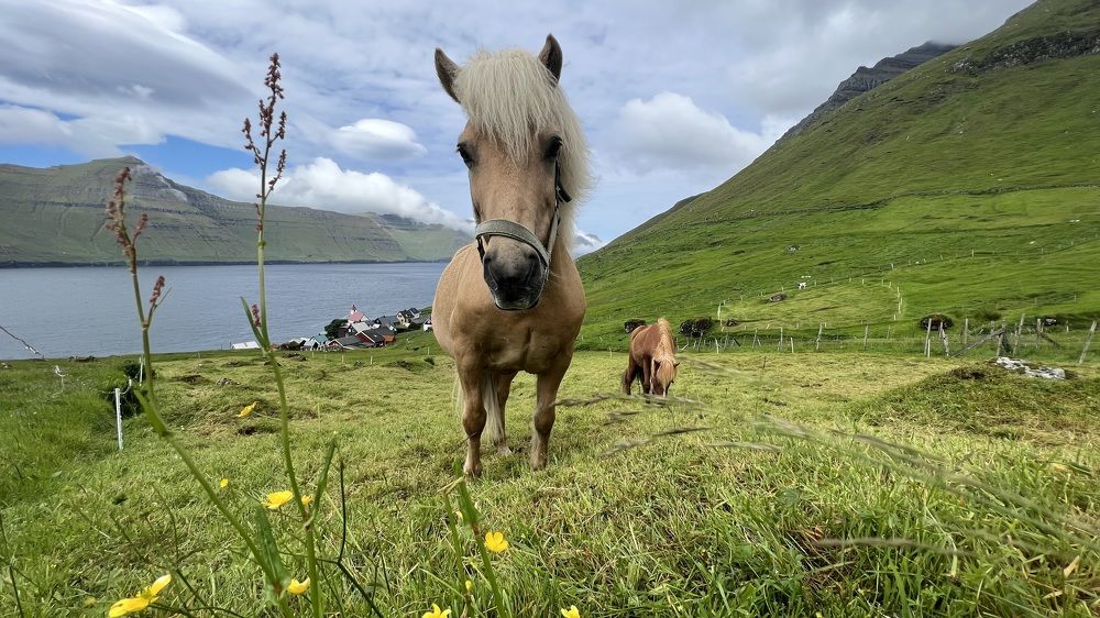 Photograph by Iva Mihalic Krčmar