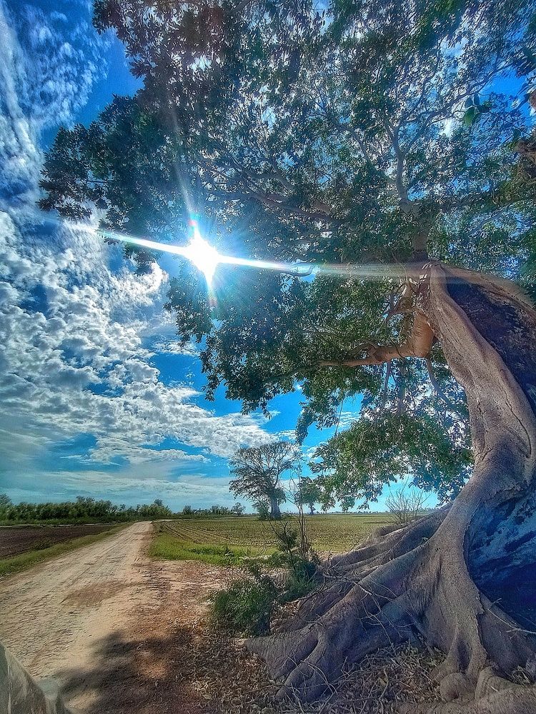 Photograph by bigu *