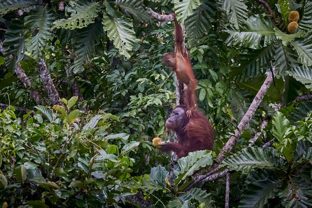 Photograph by Наумов Николай