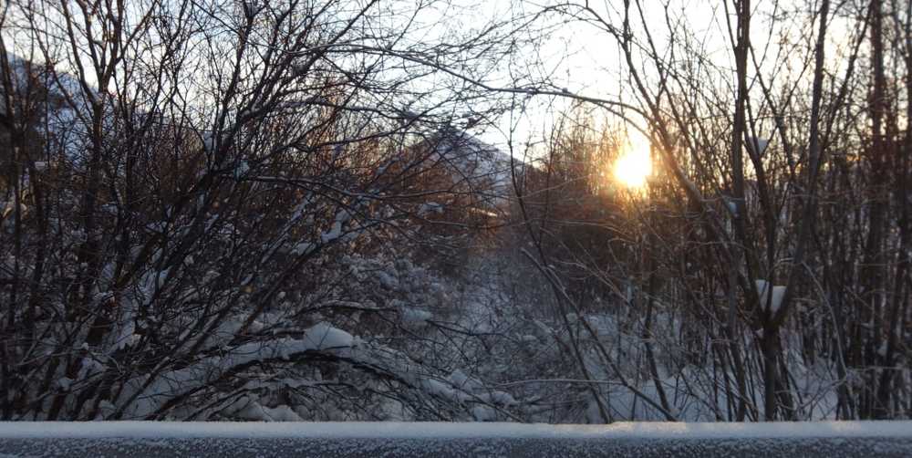 Photograph by Галина Сабитова