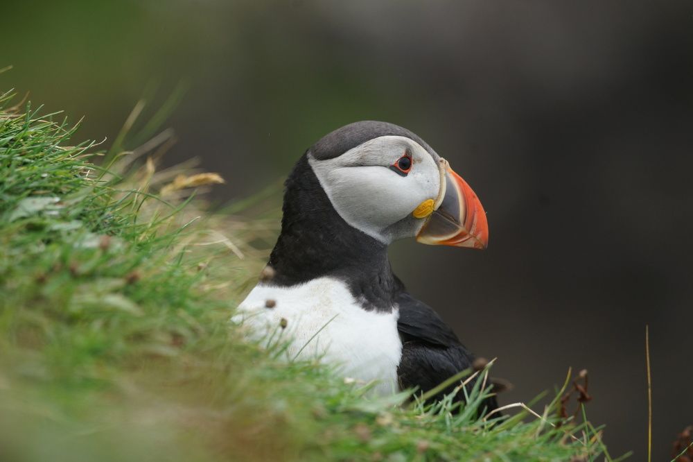 Photograph by Iva Mihalic Krčmar