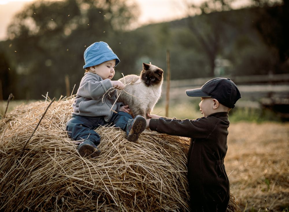 Photograph by Зульхиза Миндиахметова