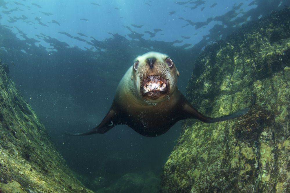 Photograph by Deniz muzaffer Gokmen