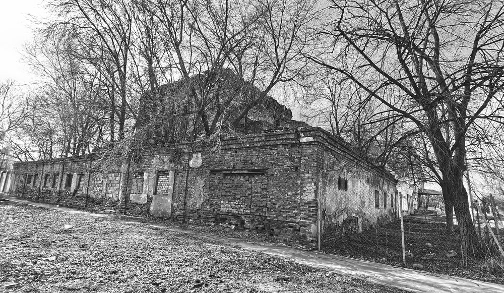 Фотография автора Валерий Цуркан