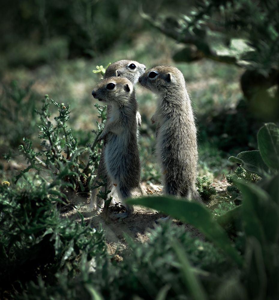 Photograph by Halil İbrahim KAHYA