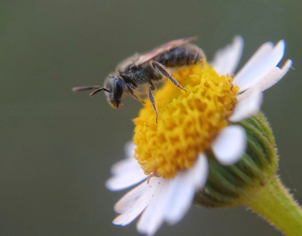 Photograph by bigu *