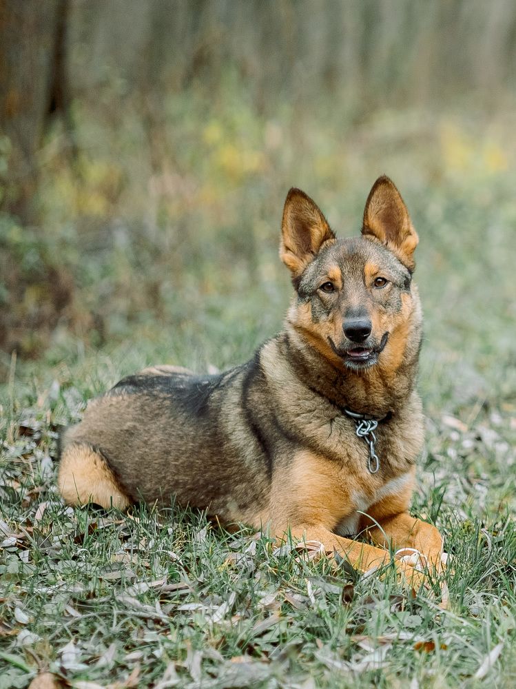 Photograph by Зульхиза Миндиахметова