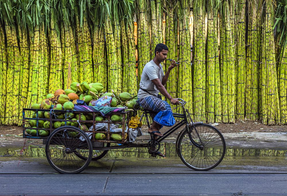 Photograph by praveen paul