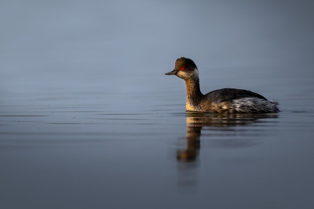 Photograph by Nishant Rana