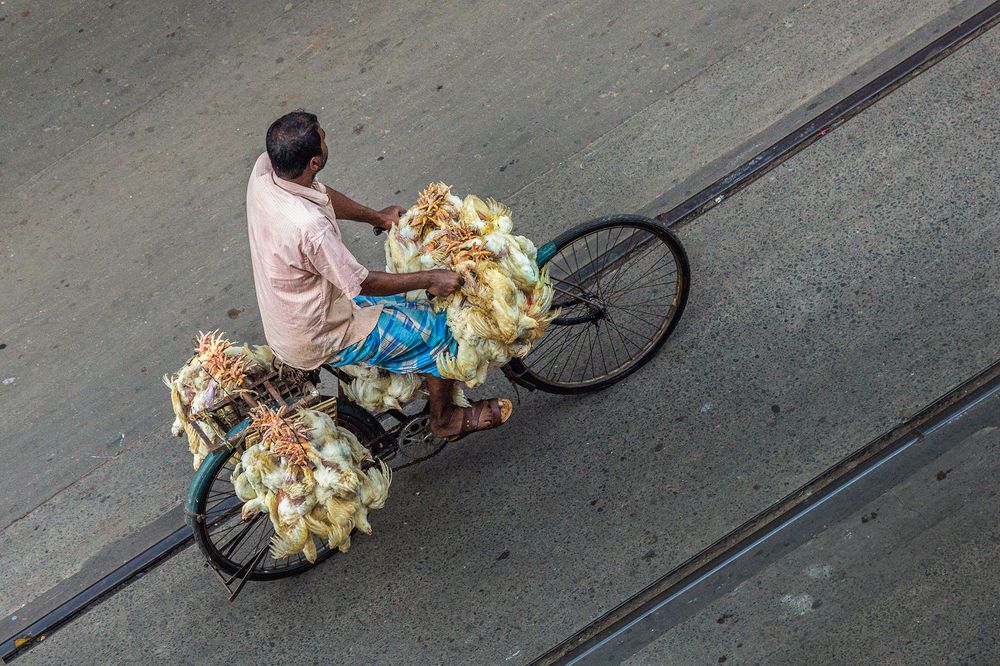 Photograph by praveen paul