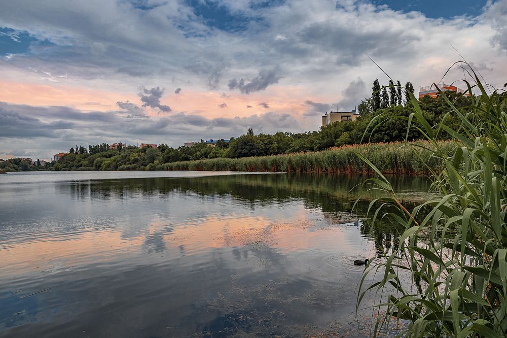 Photograph by Виталий Шкадинов