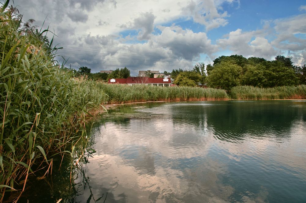 Photograph by Виталий Шкадинов