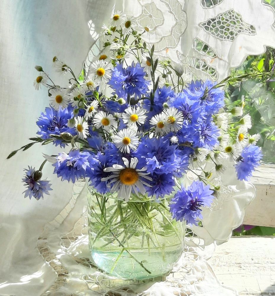 Photograph by Жанна Нечаева